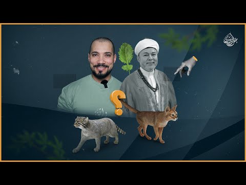 صلاح الدين التجاني