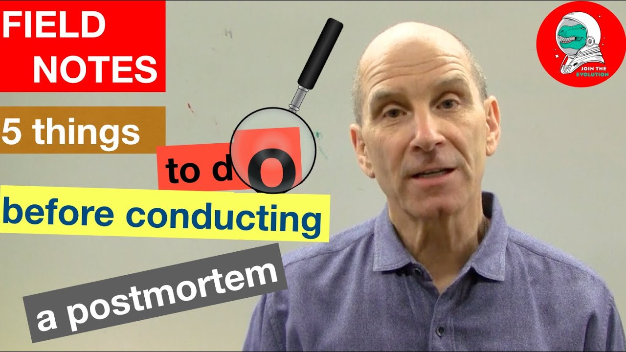 Field Notes: 5 Things To Do Before a Postmortem