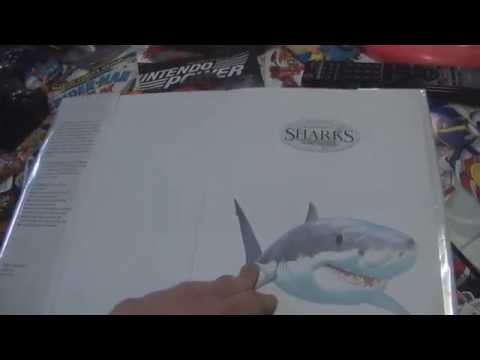 download lagu mp3 mp4 I Like Sharks, download lagu I Like Sharks gratis, unduh video klip I Like Sharks