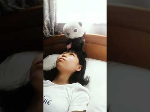 美術学科 Dream crackers ~ 夢を割るラッコ ~