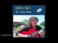 Baldi Olier - Gypsy Time