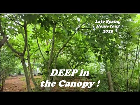 2025 Late Spring Food Jungle Tour: Live Announcement!