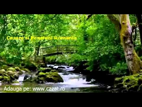 Cazare Poienita, Mures - Cazat.ro