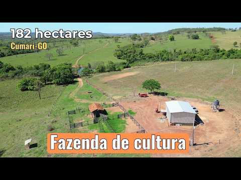 Fazenda a venda com terras de cultura, parte já plantando bem aproveitada