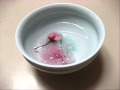happy holiday fava 09.WMV