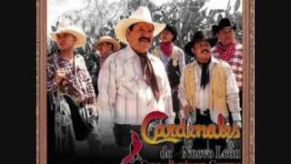 Los cardenales de nuevo leon &quot; por las damas &quot;