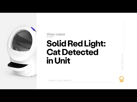 Litter Robot 4 Solid Red Light
