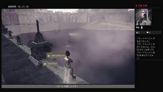NieR:Automata 釣りコンプリートを目指して
