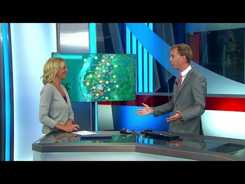 Slut på semestrarna - då är värmen här för att stanna - Nyheterna (TV4)