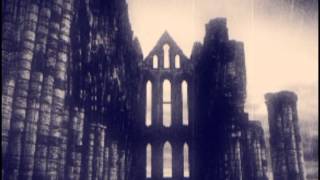 Inkubus Sukkubus Vampyre Erotica Succubus Intoxica