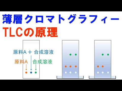 オービトグラフィーについて詳しく解説