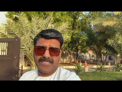 Wahiba Sands | The Golden Heart of Oman