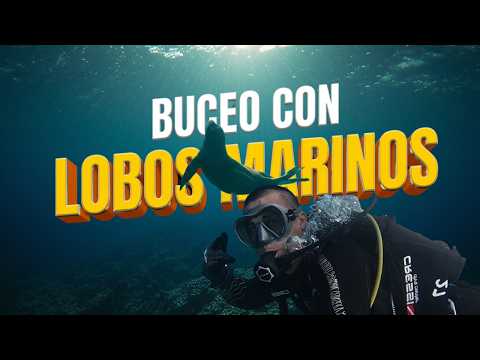 Un LOBO MARINO no me quería dejar ir + tortugas de 200 años (Galápagos)