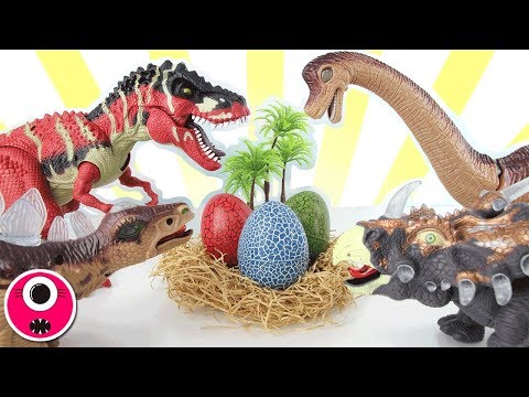 Who's Dinosaur Eggs? 4D PUZZLE, Transforming Dino Eggs! T-Rex, Brachiosaurus, Triceratops! 공룡 알 변신