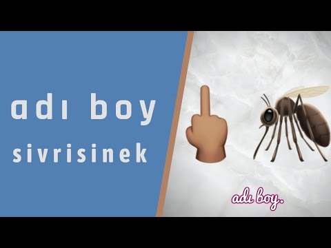 adı boy - sivrisinek