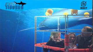 DIA 2 Expo Tiburon258