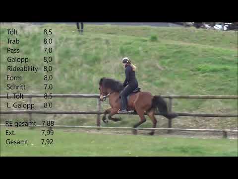 FIZO Kronshof 2021 - Nökkvadís vom Kronshof