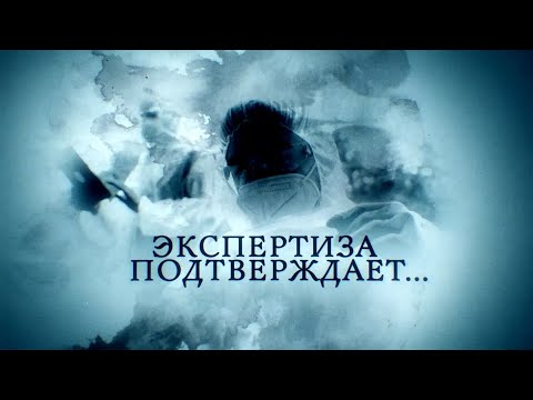 Телеканал Россия 24 - "Экспертиза подтверждает..."