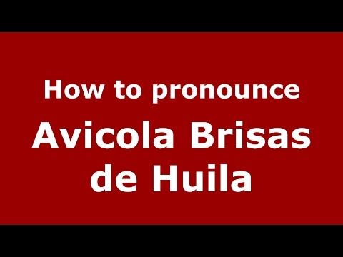 How to pronounce Avicola Brisas de Huila (Colombian Spanish/Colombia)  - PronounceNames.com