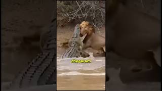 Animais que chegaram perto demais do fim. #curiosidades #bichos #animais