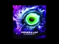 Pendulum - Witchcraft (Chuckie remix)