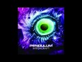 Pendulum - Witchcraft (Chuckie remix) 