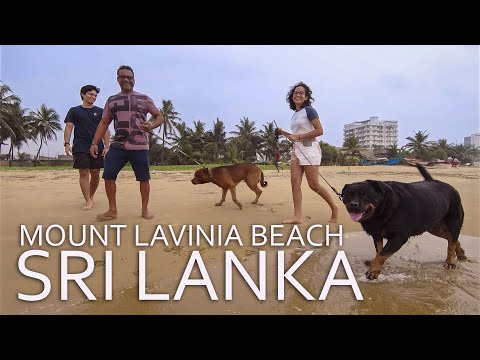 Sri Lanka - Mount Lavinia Beach - Full Moon Day Walking Tour - People and Ocean - Colombo