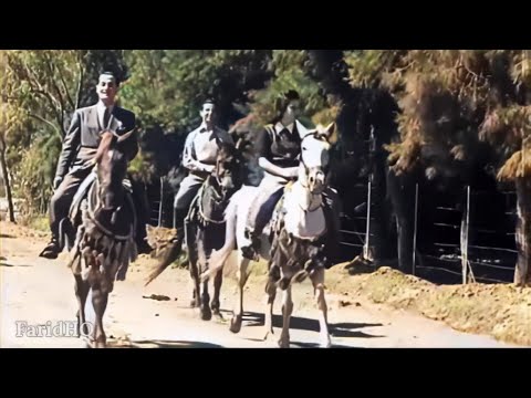 ايدى فى ايدك اسمهان