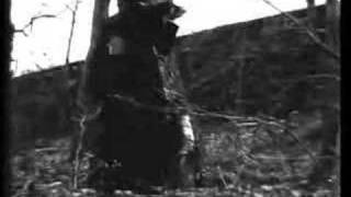 MALDOROR: A Pact With Prostitution (2004)