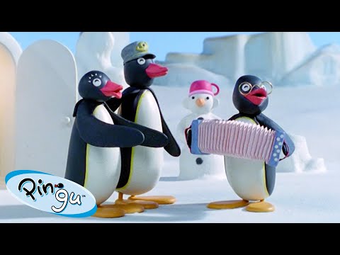 Pingu and Friends 🐧 | Pingu – Official Channel | Cartoons For Kids - Kids (0-4), Kingdom Kids Zone - Pingu - Official Channel