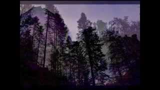 Aura Noctis - Un lugar