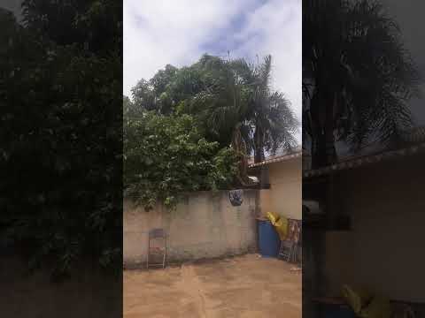 vento ganhando força na cidade de Guaraci interior de São Paulo
