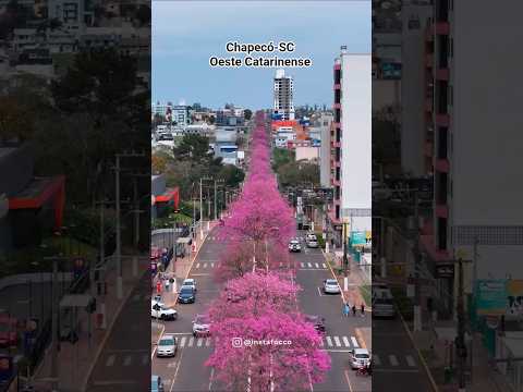 Chapecó-SC no Oeste Catarinense #turismosc #chapeco #riouruguay #oestecatarinense #br282 #piratuba
