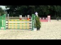 6 Years Old Mare Toulon X Cantos X Libero H