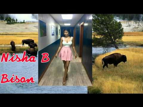 Bison - Nisha B (Chutney Soca)
