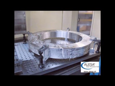 ALESA 31 - Speed Ø 63 SD12 -223 in 1.4404 (Ring)