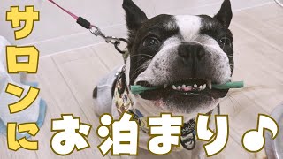 久しぶりにお泊まり行ってきた！
