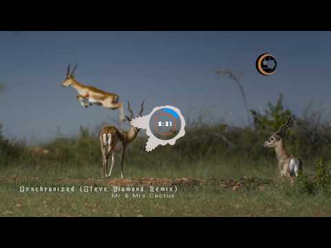 Synchronized (Steve Diamond Remix) -  Mr & Mrs Cactus