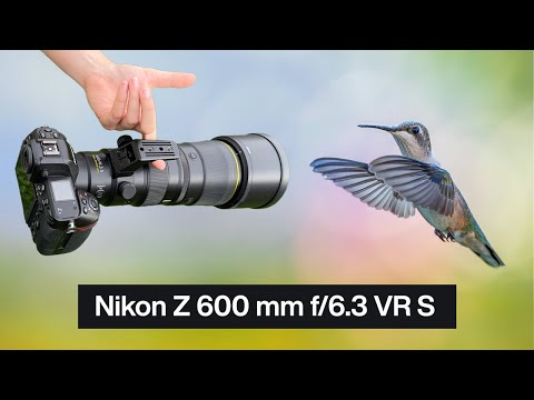 Das Nikon Z 600 mm f/6.3 VR S im Praxistest für Wildlifefotografen