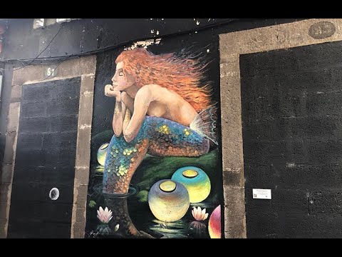 Funchal, Walking the Historic Centre, Old Town. Painted Doors - Street Art in Madeira