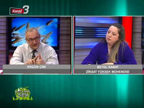 KANAL 3’TE SABAH 12 02 2019