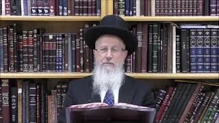 הגאון הרב אברהם יוסף שליט＂א האם ביצה שנמצא בה דם בשבת יחשב כמוקצה שבט תשפ"ו (רבנים שונים) - התמונה מוצגת ישירות מתוך אתר האינטרנט יוטיוב. זכויות היוצרים בתמונה שייכות ליוצרה. קישור קרדיט למקור התוכן נמצא בתוך דף הסרטון