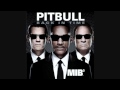 Pitbull Back In Time Audio