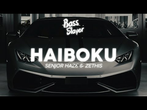 Senjor Haze & Zethis - Haiboku ⚡