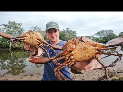 EP 9 - GIANT MUDCRAB HAUL - Cooked Up in the Mangroves | Catch n Fry