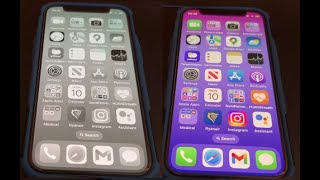 How to turn iPhone 14 Screen from Black and White back to Color on iOS 16