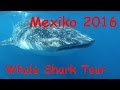 Diving - Mexiko 2016 - Whale Shark Edition - Karibik