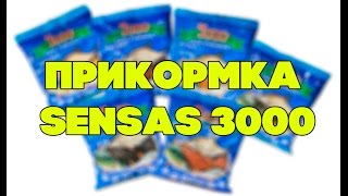 Уфа рыболовный успех