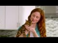 Spy Dog Eats Poop From The Cats Litter Box NaturVet