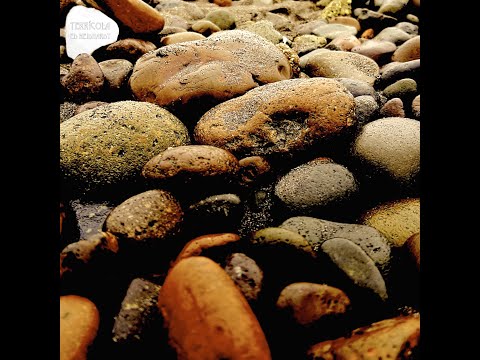 Ed Neidhardt - Florerito con Dr. Bene